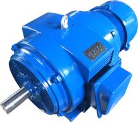 Электродвигатель 5АНК 250S6